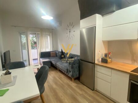 APARTMENT 1+1+BLK FOR RENT AT DRY LAKE 500 EURO