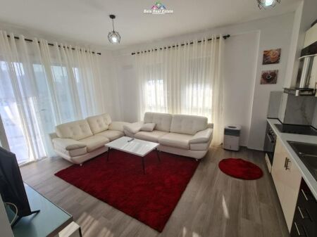 Apartment For Rent 1+1 Near 5 Maji (ID B2101715) Tirana