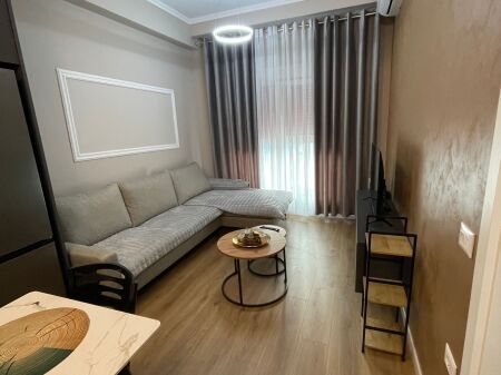 Apartment 1+1 for rent