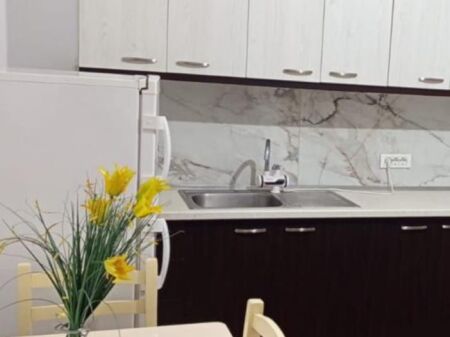 APARTMENT 1+1. 37000 LEKE. NEAR DEA PASTRY SHOP 3
