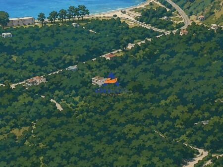 SHITET TOKE 5000M2 "QEPARO" 1.200.000 EURO