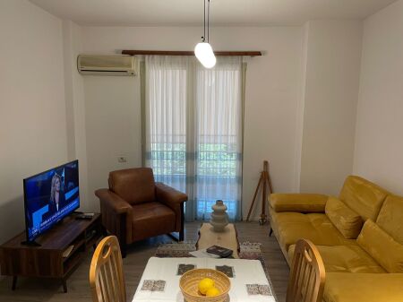 Apartment 1+1 for rent