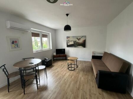 Appartamento In Affitto 1+1 In Via Elbasan (ID B211128) Tirana