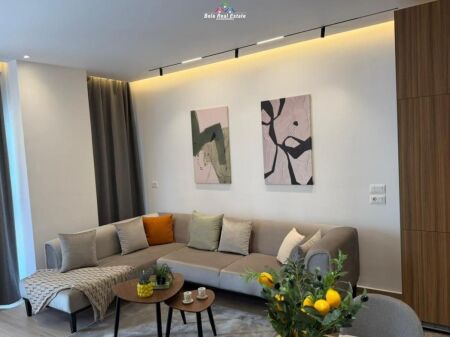 Apartment For Rent 1+1 At Zogu i Zi (ID B2101364) Tirane
