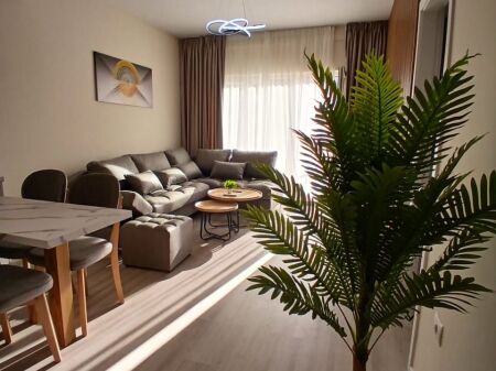 Apartment 2+1 for rent in Zogu i Zi