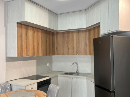 APARTMENT FOR RENT 1+1 AT DRY LAKE!