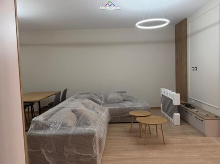 Appartamento In Affitto 1+1 Vicino al Giardino Zoologico/Botanico (ID B2101723) Tirana