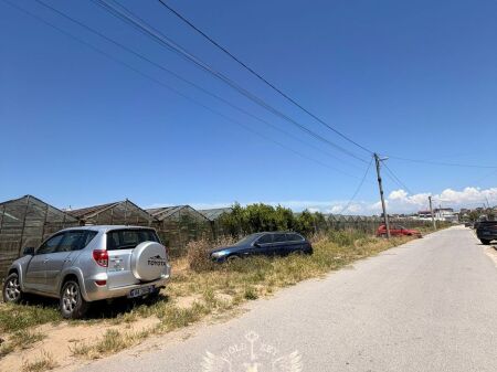 SHITET 1500M2 TOK ARE SHKOZET DURRES