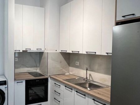 Apartament me qera 1+1 Ali Demi