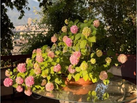Apartment 3+1+3 Penthouse with Panoramic View for Sale from Tirana Neom142074