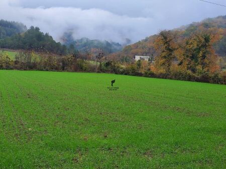 SHITET TOKE 3500 M2 PETRELE 31.500.000 LEKE  FH-77391