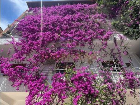 For sale, 5-Storey Hotel, Iliria Beach, Durres