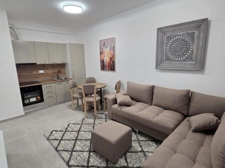 APARTMENT 1+1+PARKING FOR RENT AT UNIVERS CITY!