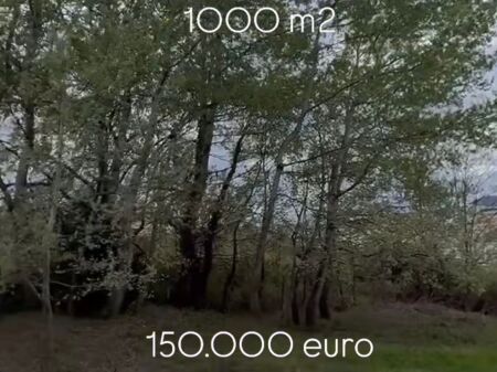 Shitet toke 1000 m2 ne Farke