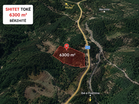 SHITET TOKE NE BERZHITE