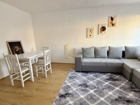 Qira, Apartament, 1+1,Rruga Bardhyl, 48.000 Leke/muaj