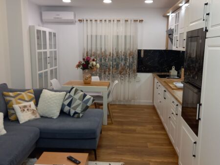 APARTAMENT 1+1 ME QIRA – RRUGA MARGARITA TUTULANI 650 mije leke te vjetra
