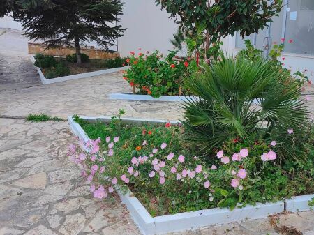 GARAGE 23 M2 SHKEMB KAVAJE FOR SALE 15000 EURO