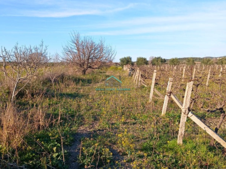 LAND FOR SALE – PANAJA VLORE