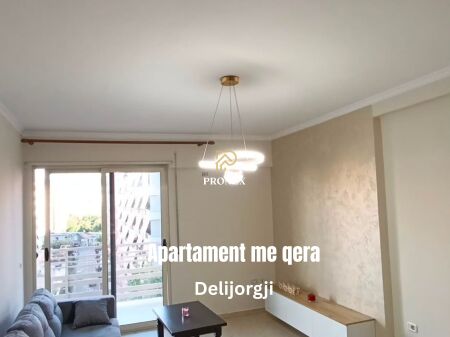 Appartamento in affitto - Delijorgji