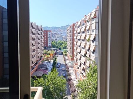 1+1,perballe delijorgjit,rruge e kavajes,500 euro