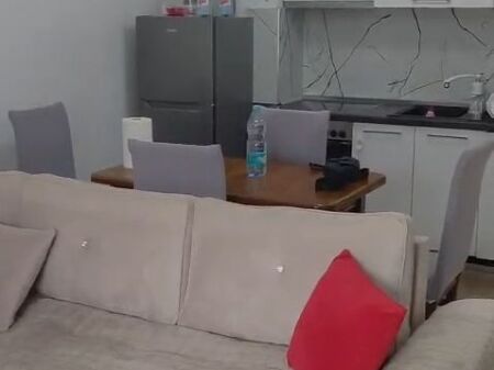 Appartamento 1+1+balcone 350€ - Fresk