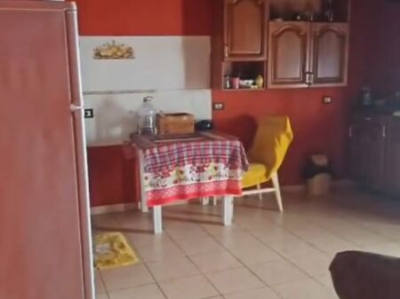 Affitto | Apartament 2 + 1 | Rruga Ali Visha | 360 €/mese