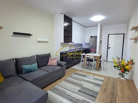 APARTMENT FOR RENT 1+1 5 MAY 55,000 LEKE