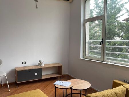 Apartment 1+1 for rent at the Dry Lake