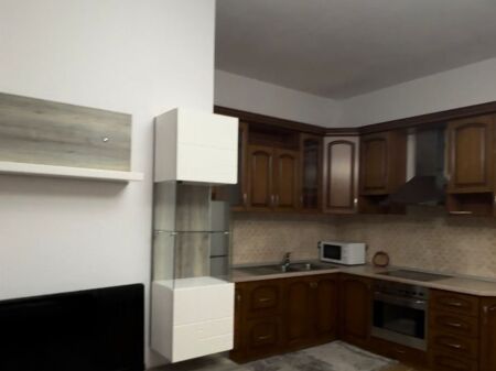 appartamento 1+1 in affitto a Sauk