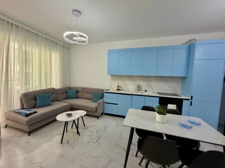 Apartment 1+1 for rent