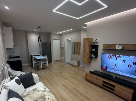 Apartment 1+1 for rent