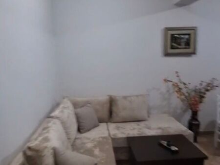 Apartment for rent 1+1 Misto Mame