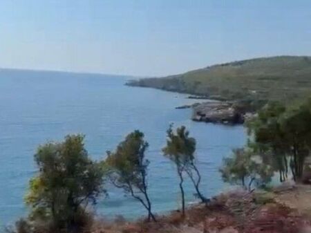 Shitet Tokë në Jalë, Vlorë