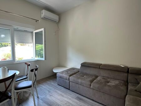 APARTMENT FOR RENT 1+1