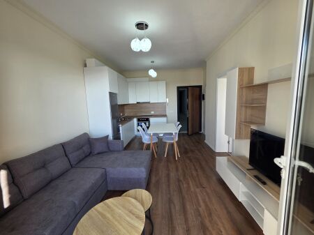 Kamëz Near the Olive Roundabout Apartment 1+1 For Rent