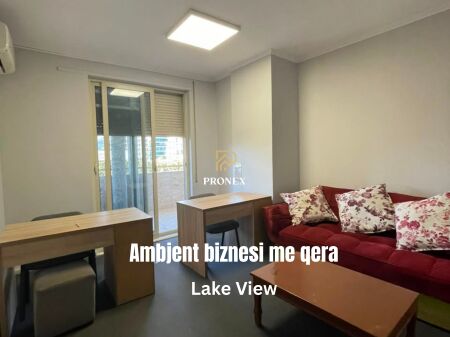 Locale commerciale in affitto - Lake View