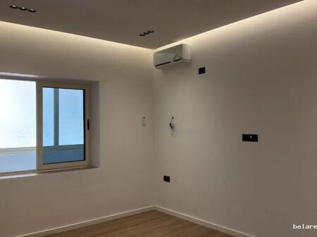 Ufficio in affitto 1+1 a Vasil Shanto (ID BZ2993) Tirana