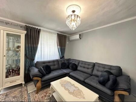 luxury 1+1 apartment for rent