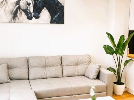 🚨 128,000€ | SHITET DUPLEX TEK LIQENI I THATË 🚨