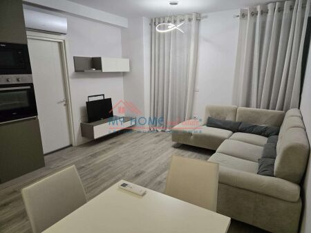 Apartament 1+1 me Qira Ali Demi Tirane