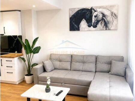 SHITET APARTAMENT 1+1 LIQENI I THATE