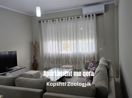 Apartment for rent - Zoo Garden