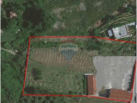 Truall - Për Shitje - Vaqarr, Tiranë(ID: 530561001-82)