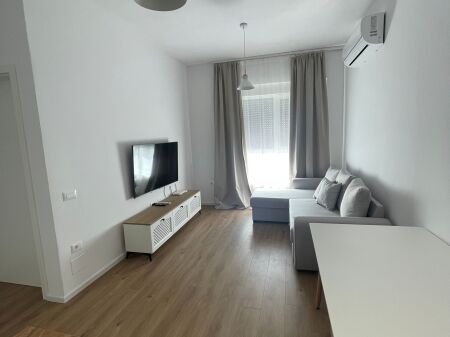 Apartment 1+1 for rent