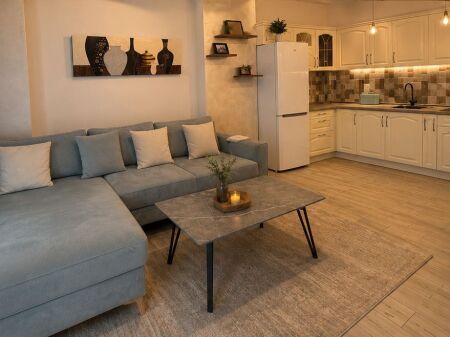 The Paris municipality rents out a modern 2+1 apartment.