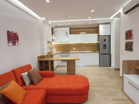 Apartament 1+1 me qira , Frosina Plaku