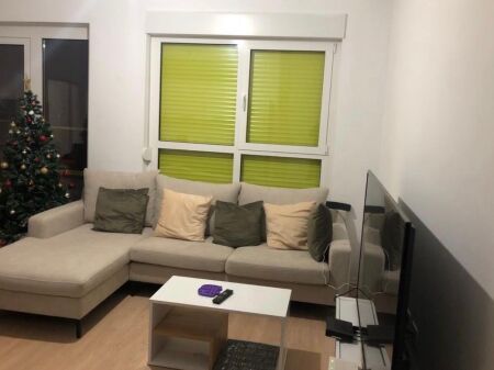 Ali Demi jepet apartament me qera 1+1