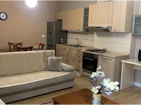 APARTAMENT 1+1 KOPSHTI ZOOLOGJIK
