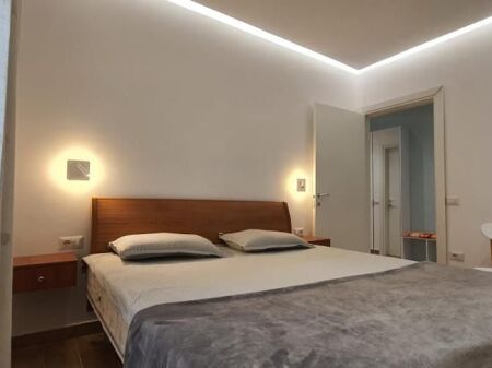 Apartament 1+1 per qira te 21 Dhjetori, Frosina Plaku